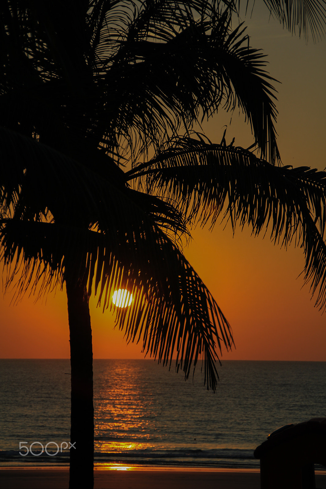 Sigma 18-250mm F3.5-6.3 DC OS HSM sample photo. Sunset photography