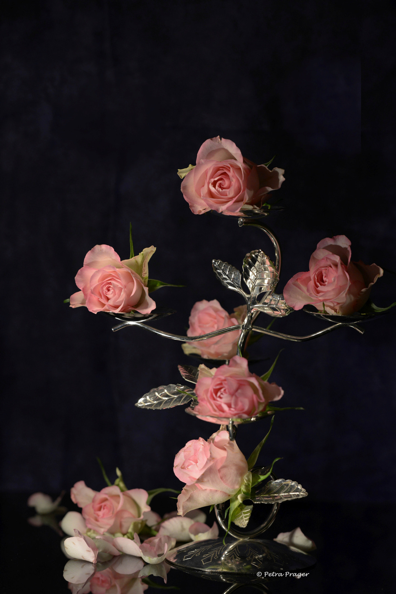 Sigma 150mm F2.8 EX DG OS Macro HSM sample photo. Roses photography
