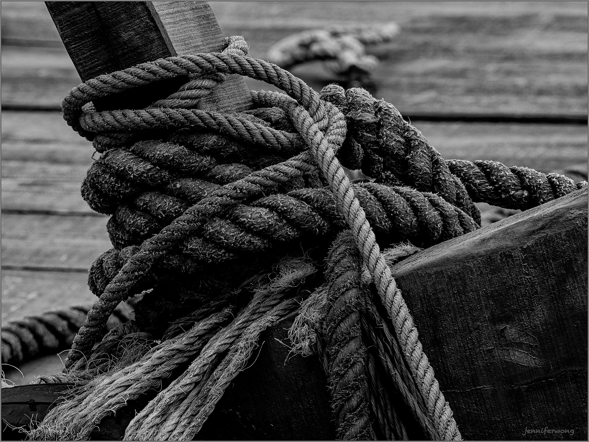 Olympus OM-D E-M1 sample photo. Knot photography