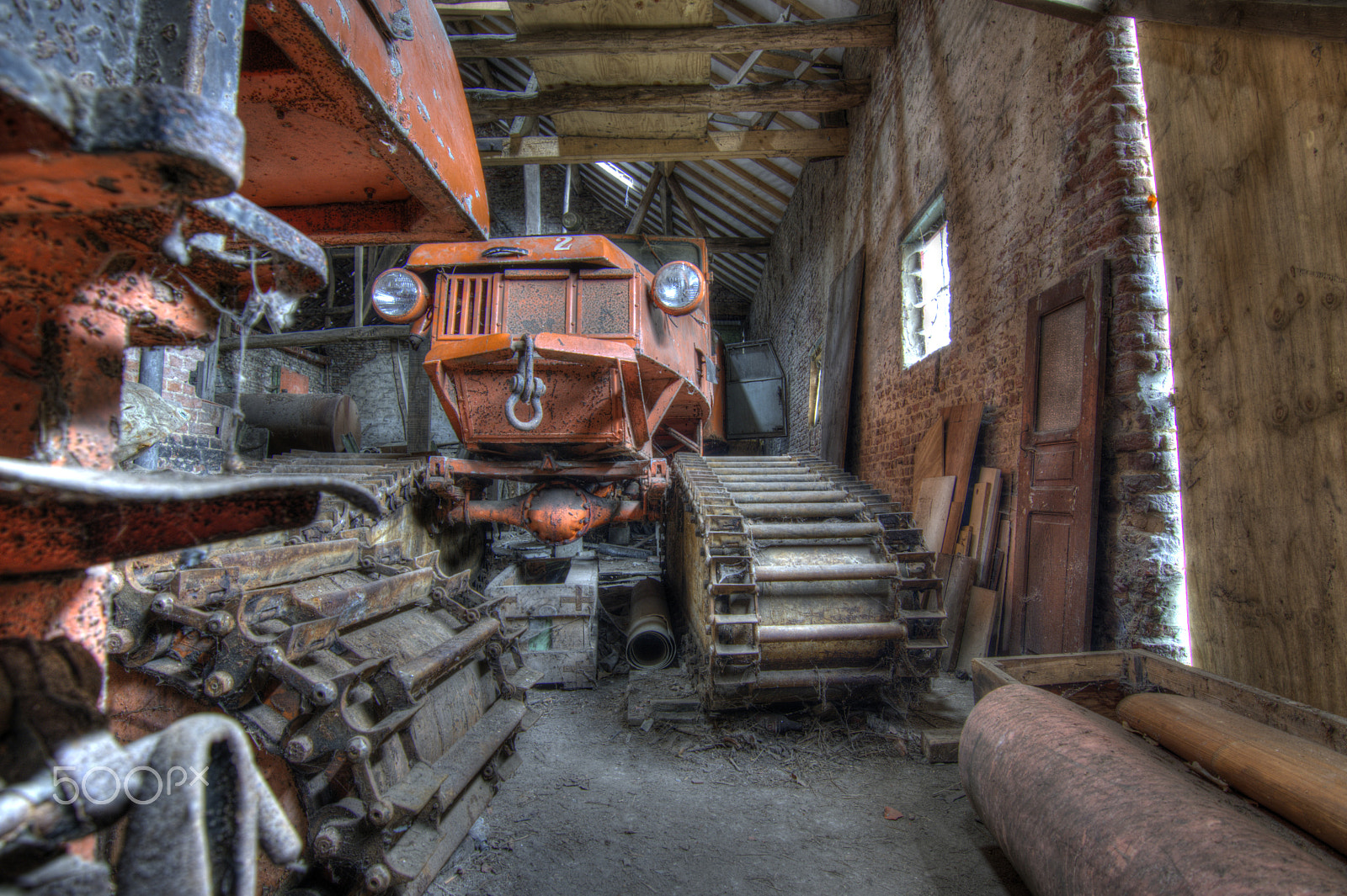 Nikon D500 sample photo. Sno cat photography