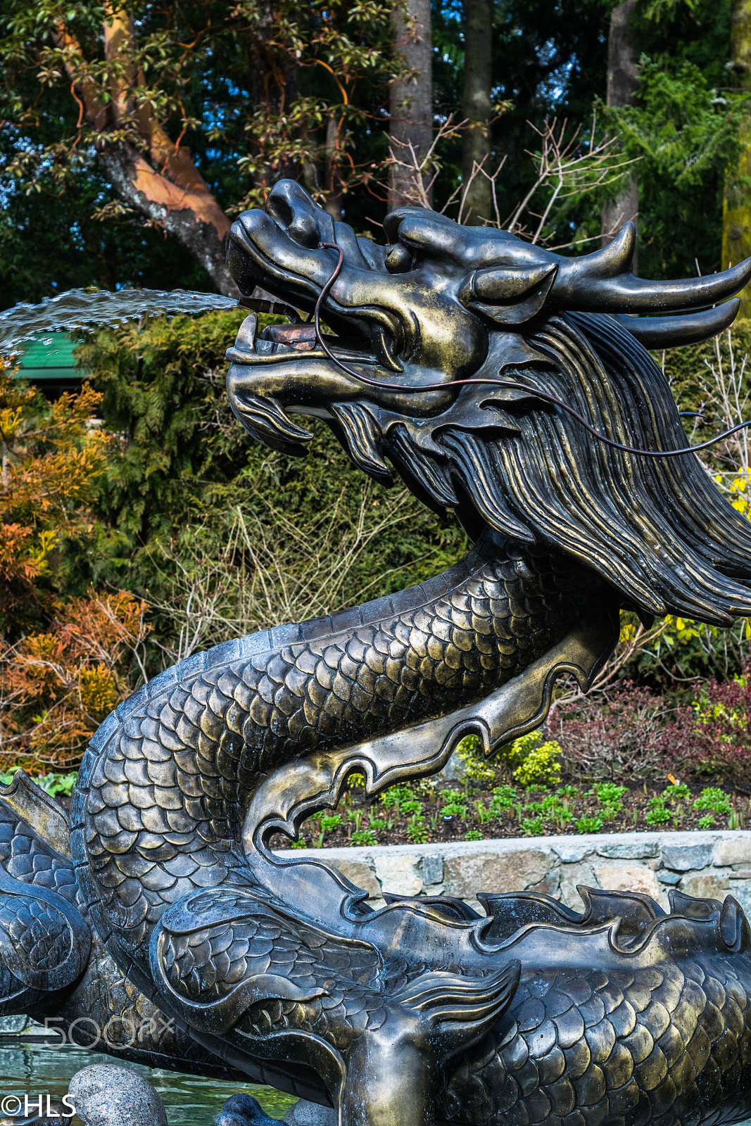 Nikon D3300 + Nikon AF Nikkor 50mm F1.8D sample photo. Dragon y agua photography