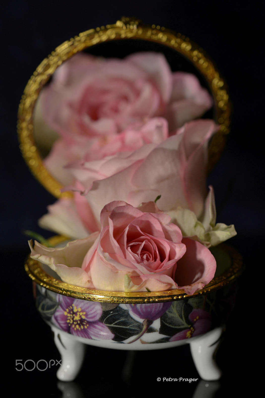 Nikon D800 + Sigma 150mm F2.8 EX DG OS Macro HSM sample photo. Rose in the mirror photography