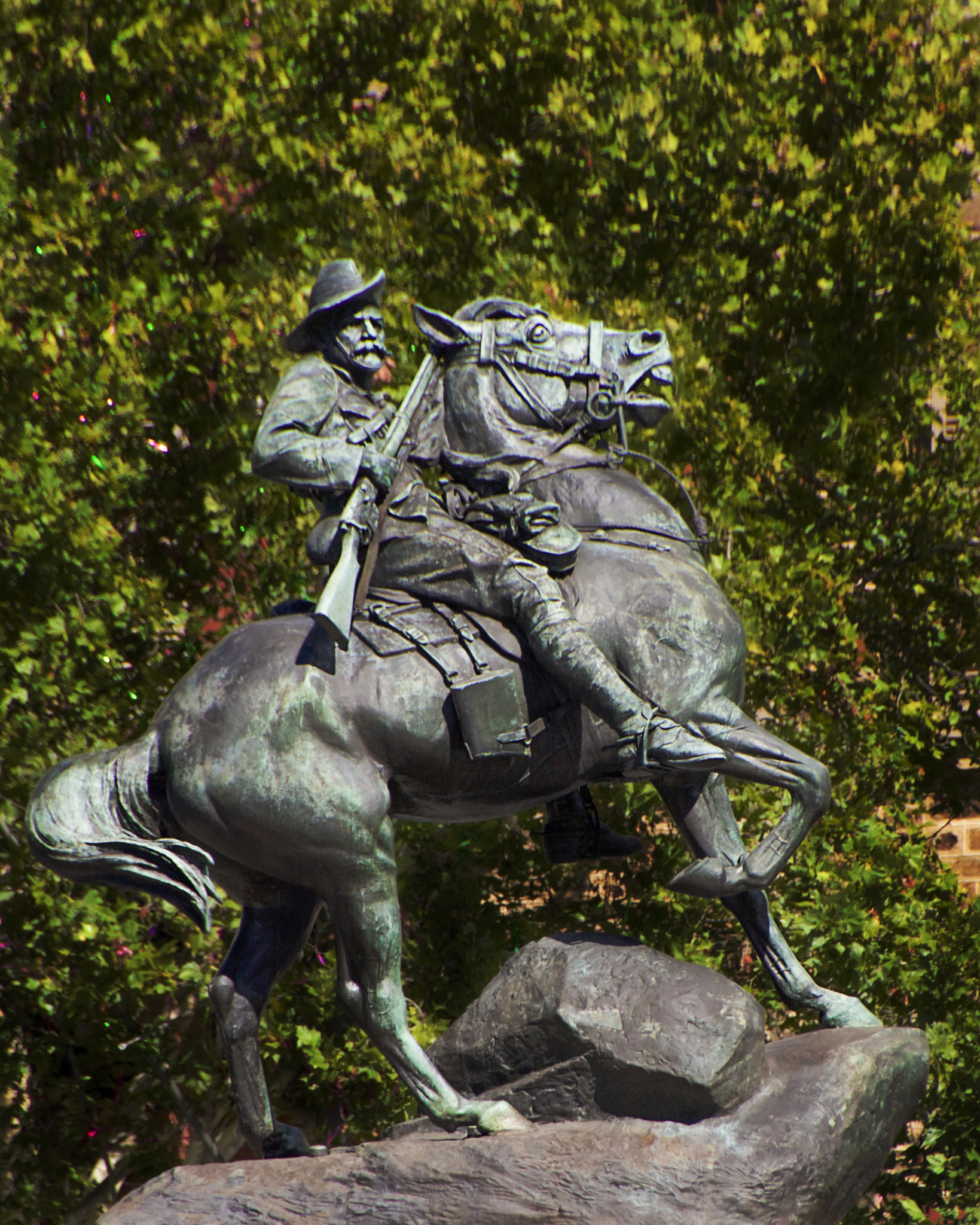 Canon EOS 60D sample photo. Australian light horse photography