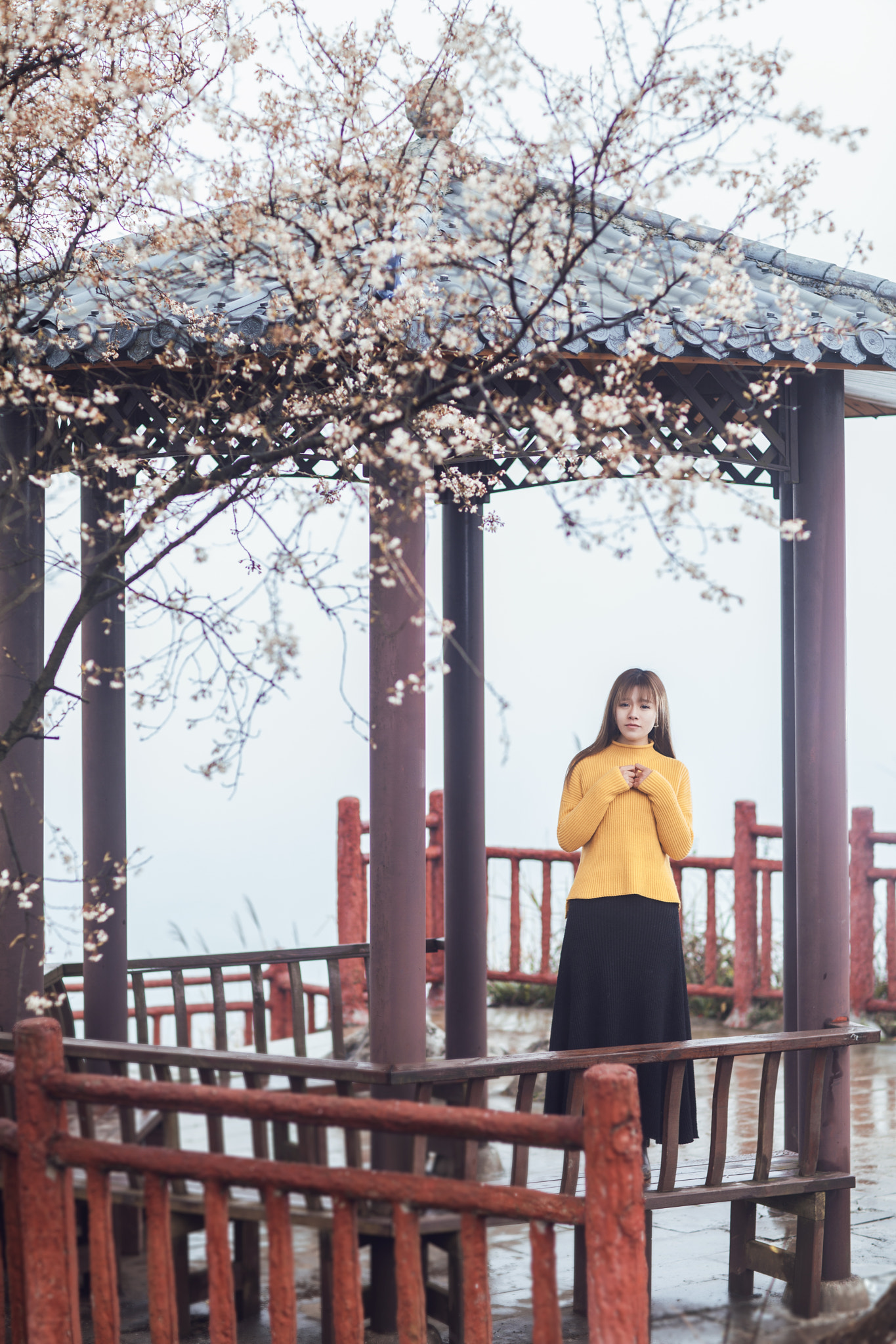 Canon EF 85mm F1.2L II USM sample photo. 樱花亭 photography