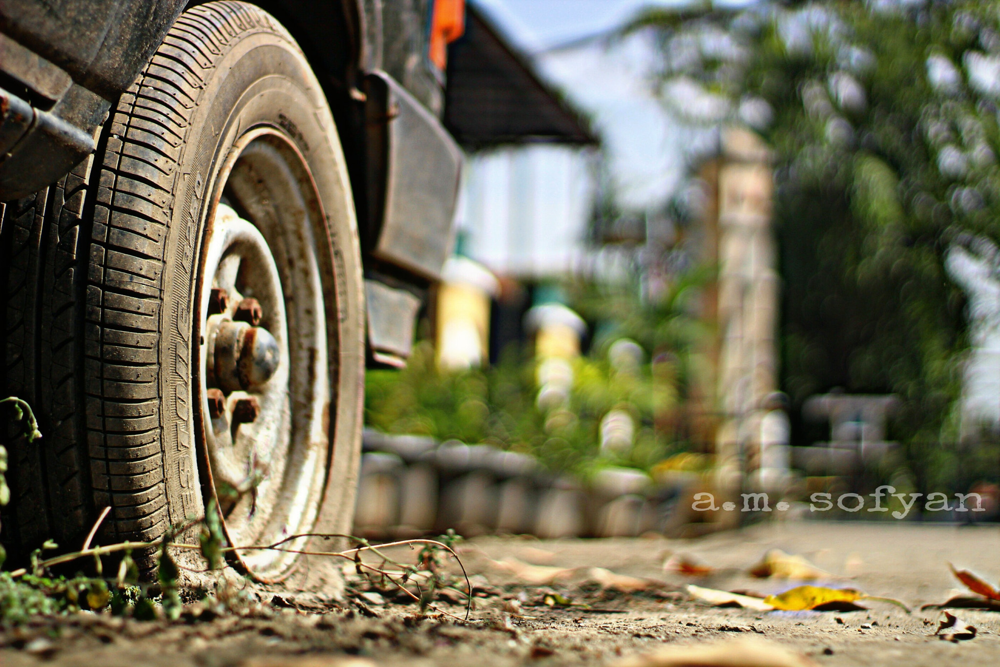 Canon 50mm sample photo