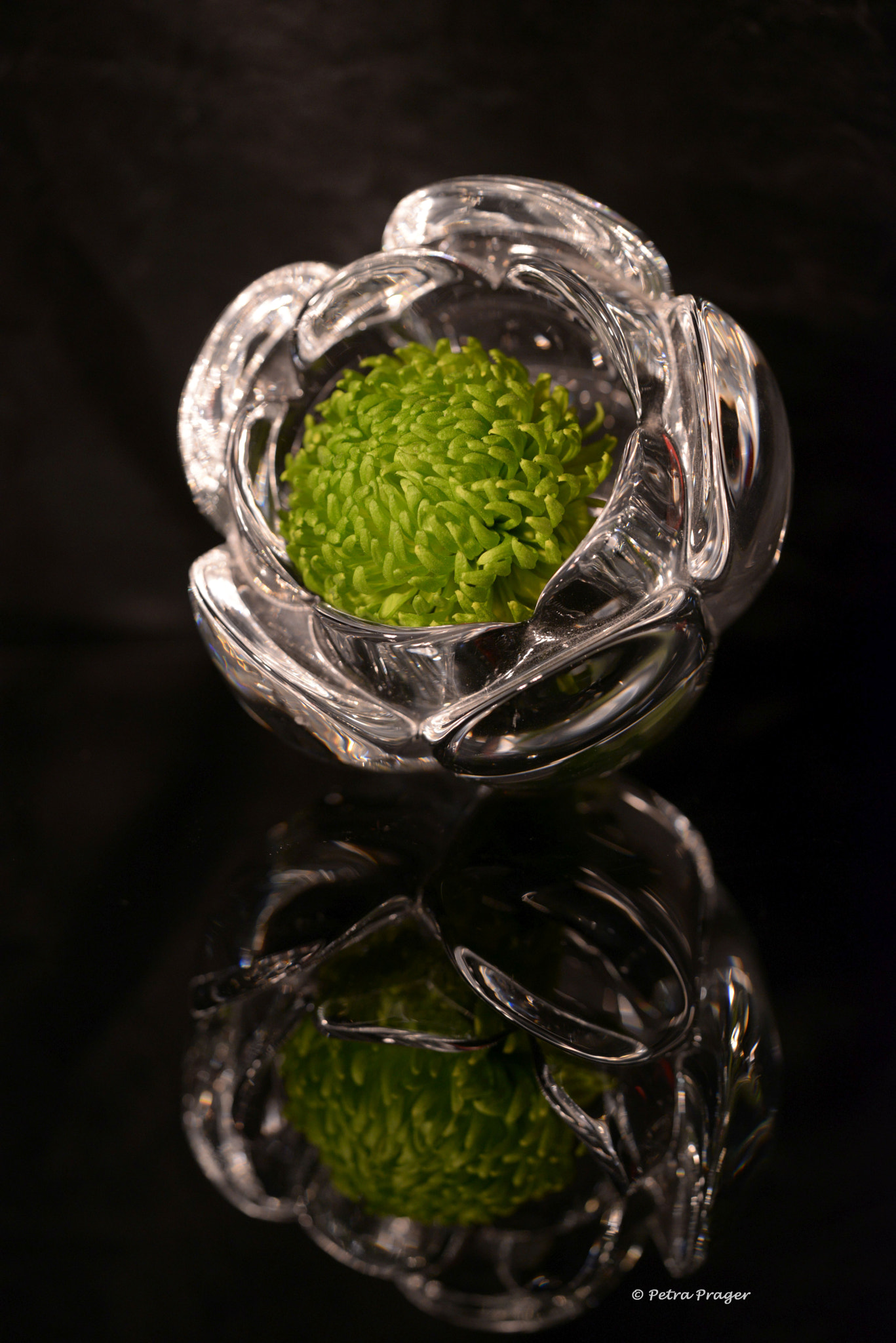 Sigma 150mm F2.8 EX DG OS Macro HSM sample photo. Glas green blossom photography