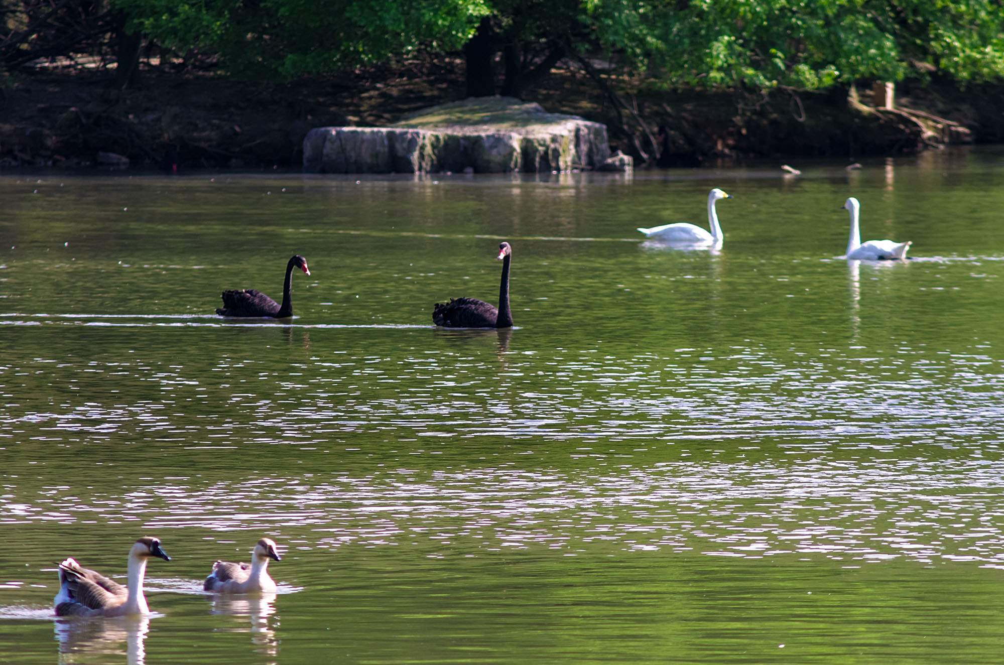 Pentax K-5 sample photo