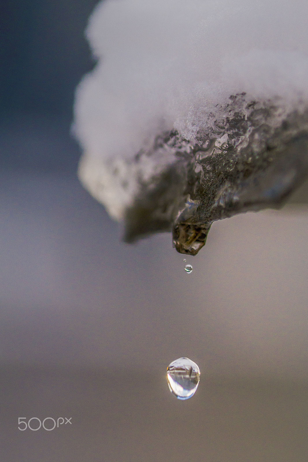 90mm F2.8 Macro SSM sample photo. Spring is coming photography