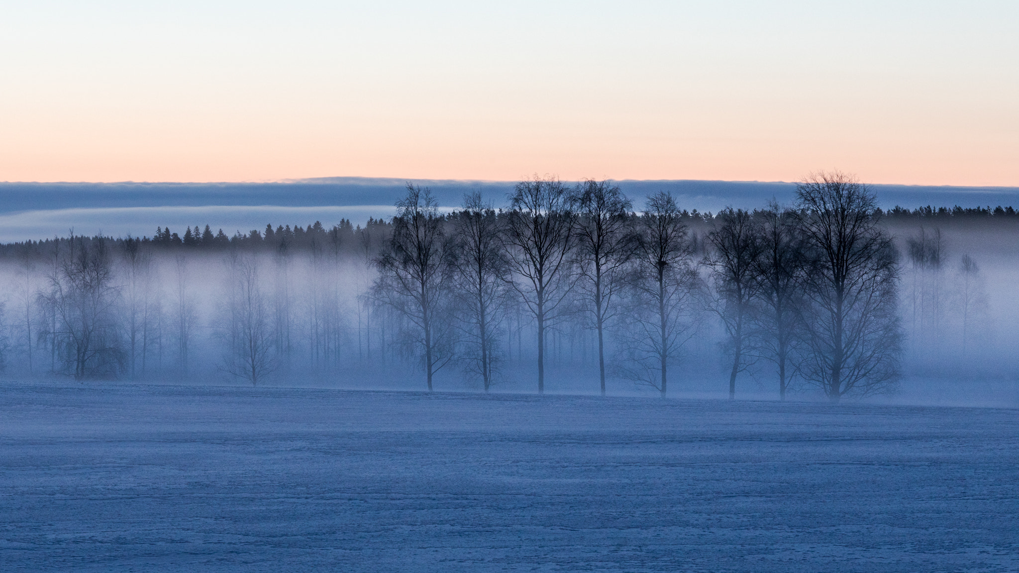Canon EF 70-200mm F4L IS USM sample photo. Covered by fog photography