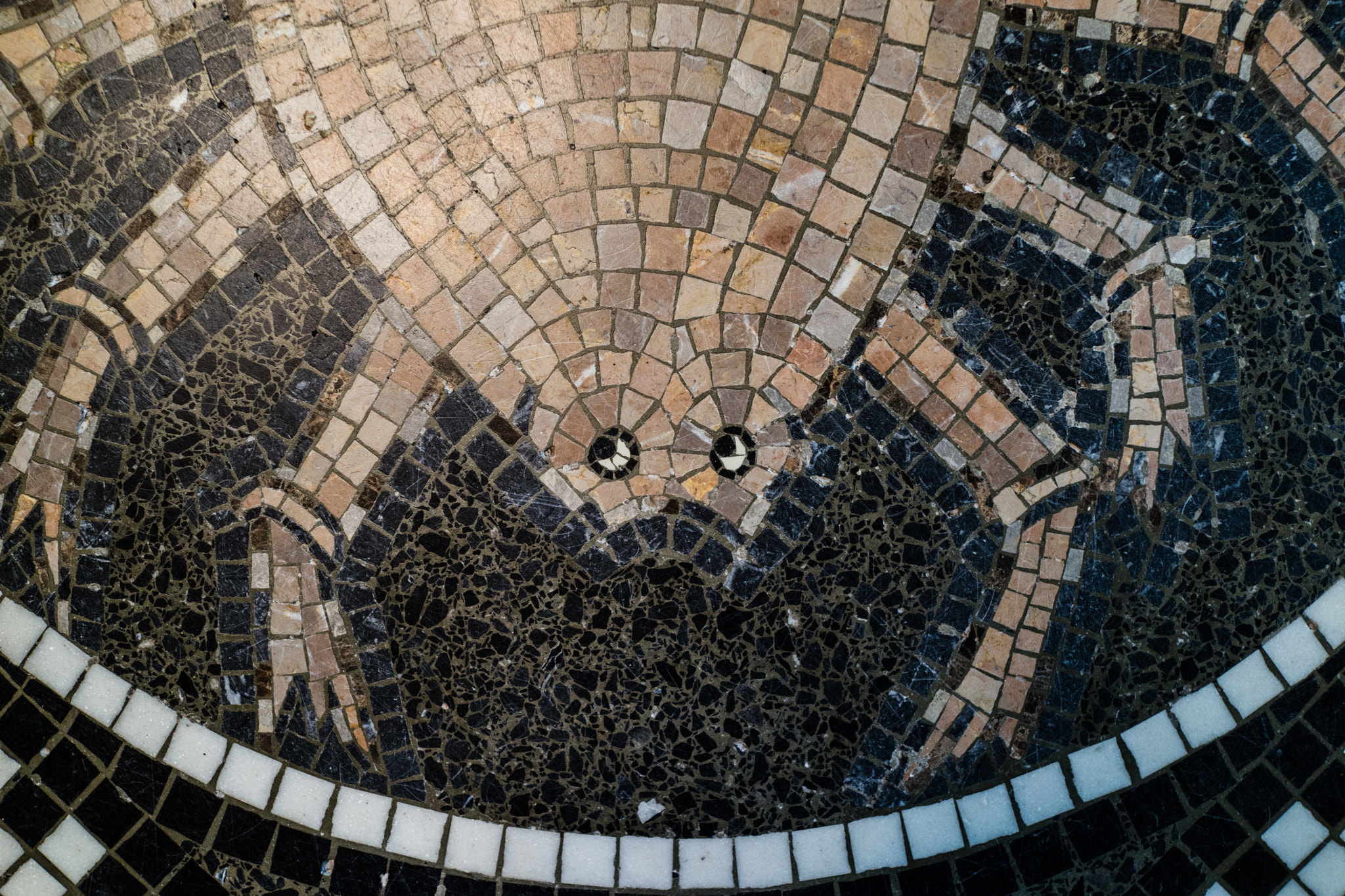Sony Cyber-shot DSC-RX1 + 35mm F2.0 sample photo. Was mache ich hier? photography