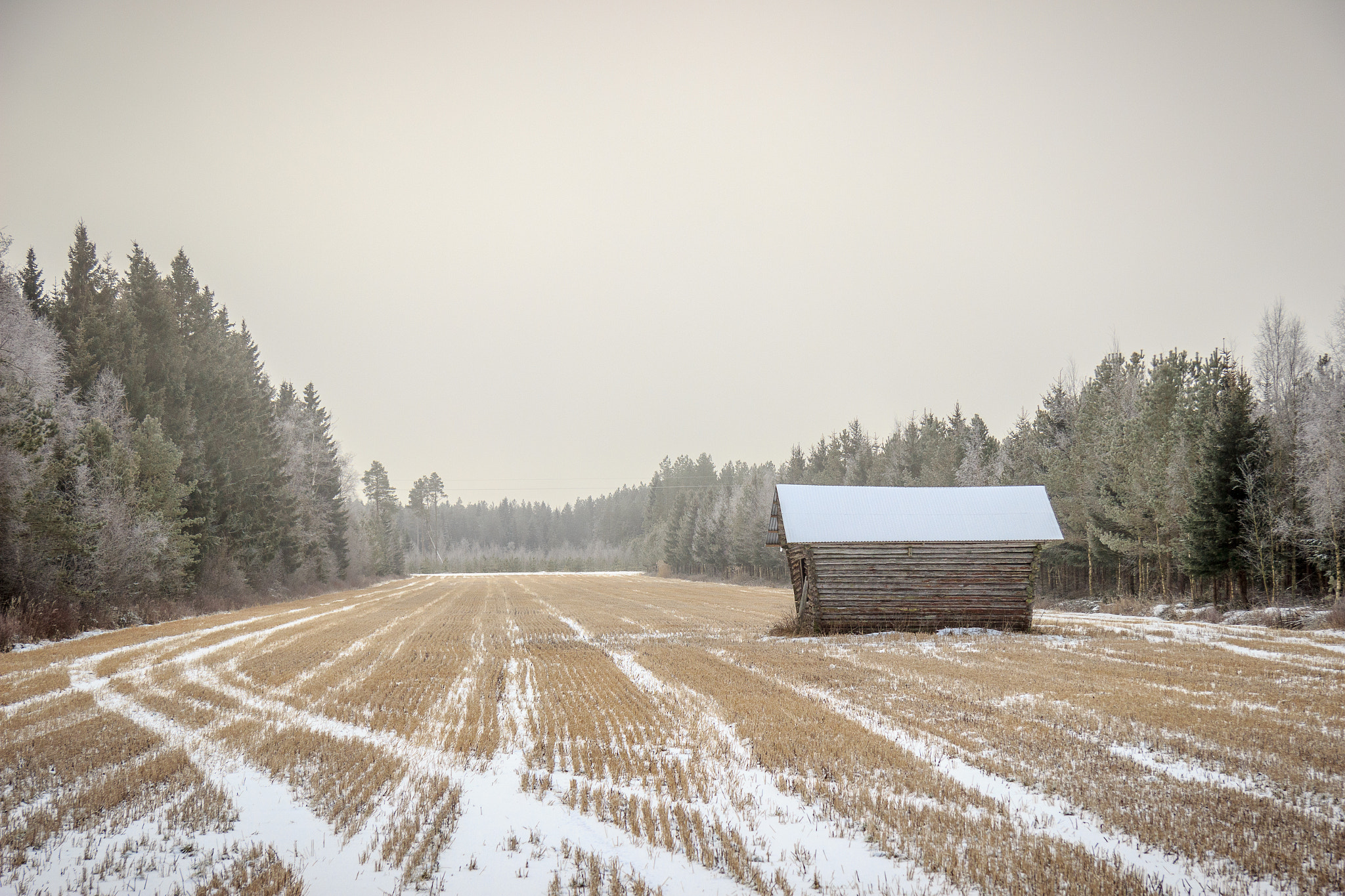 Canon EF-S 17-85mm F4-5.6 IS USM sample photo. Lonely barn. photography