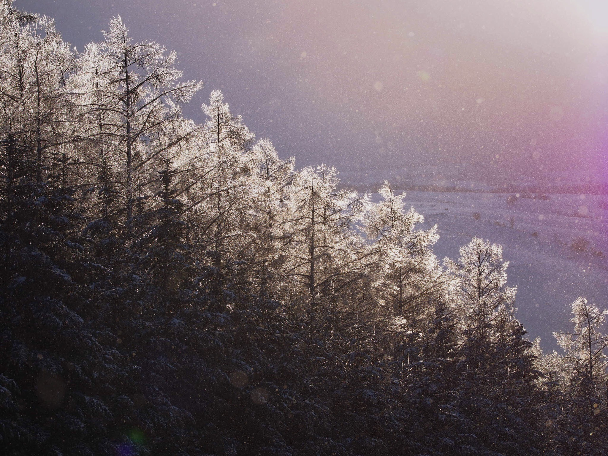 Olympus OM-D E-M5 sample photo. Rime photography