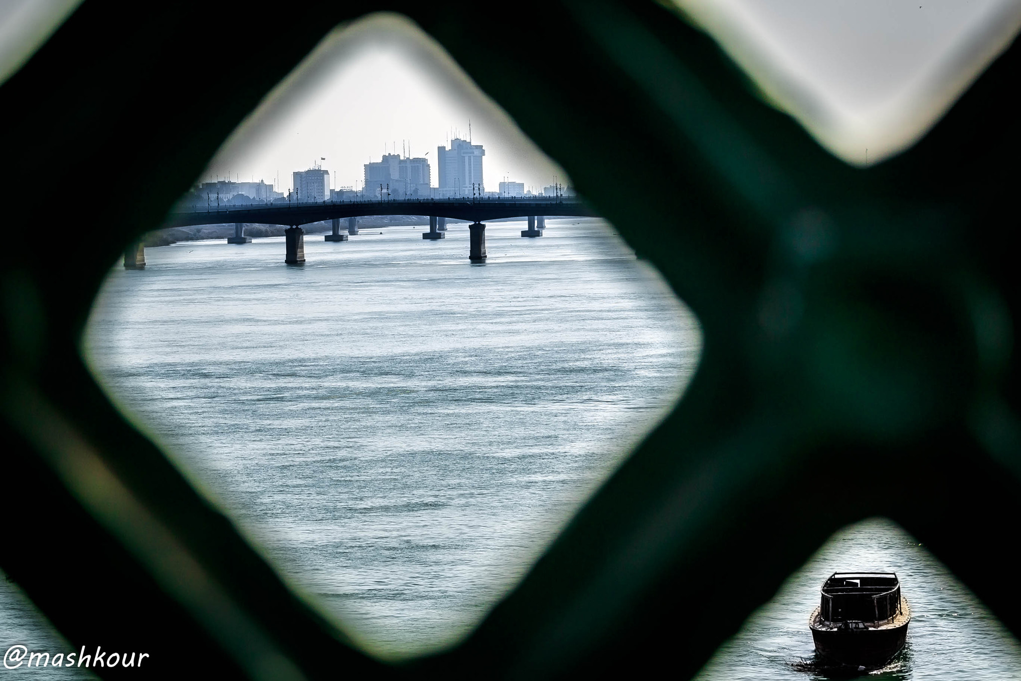 Canon EF-S 55-250mm F4-5.6 IS STM sample photo. Tigris photography