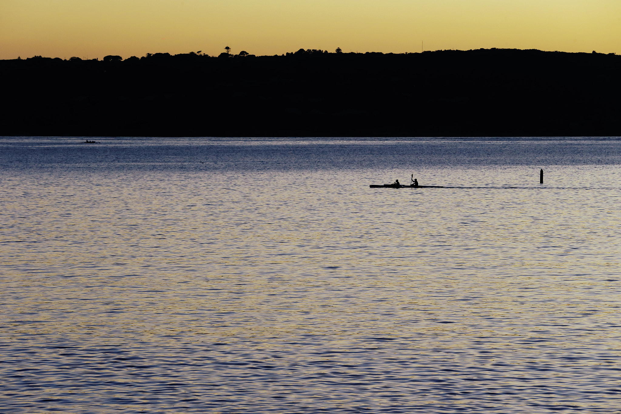 Canon EOS-1D C sample photo. Kayakers in balmoral photography