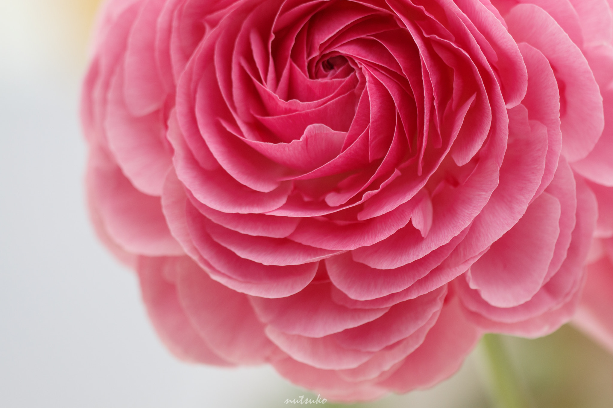 Sigma APO Macro 150mm f/2.8 EX DG HSM sample photo. Img photography