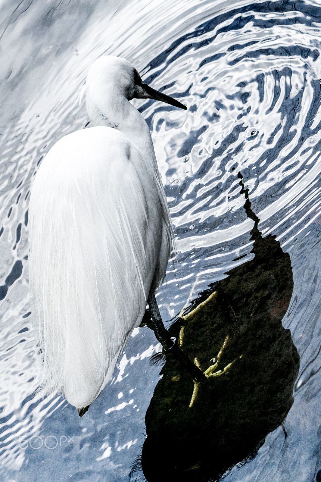 Sony a6000 + Sony FE 70-200mm F4 G OSS sample photo. White and shadow on water photography