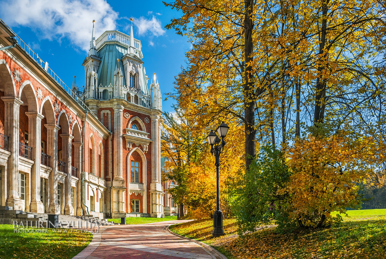 Nikon D800 + Nikon AF-S Nikkor 28-70mm F2.8 ED-IF sample photo. Autumn in tsaritsyno photography