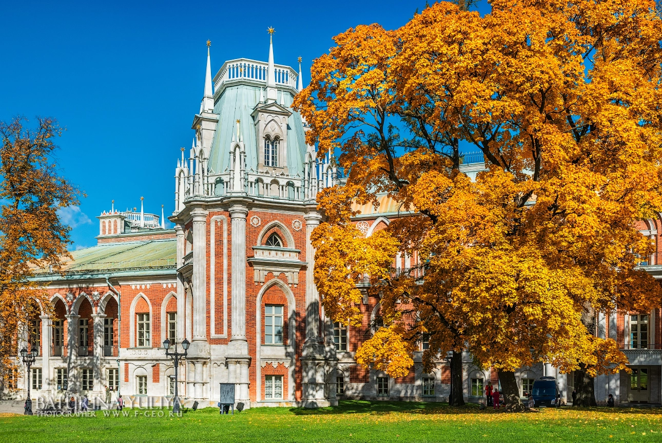 Nikon D800 + Nikon AF-S Nikkor 28-70mm F2.8 ED-IF sample photo. Golden autumn in tsaritsyno photography