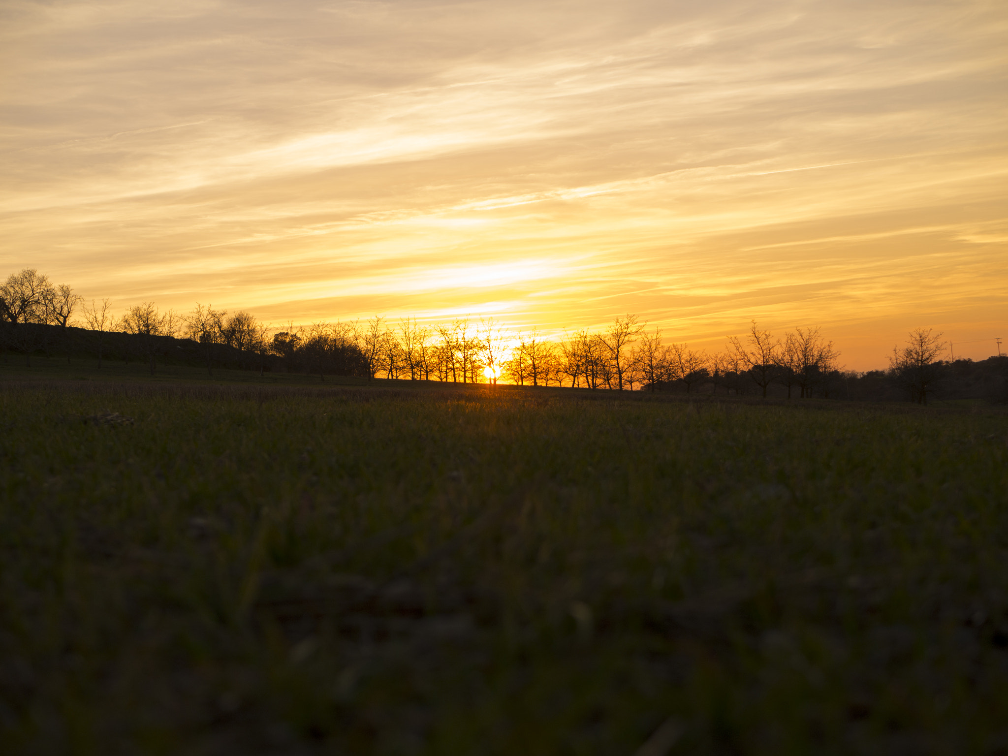 Olympus OM-D E-M10 II + LUMIX G 25/F1.7 sample photo. Sunset and fields photography