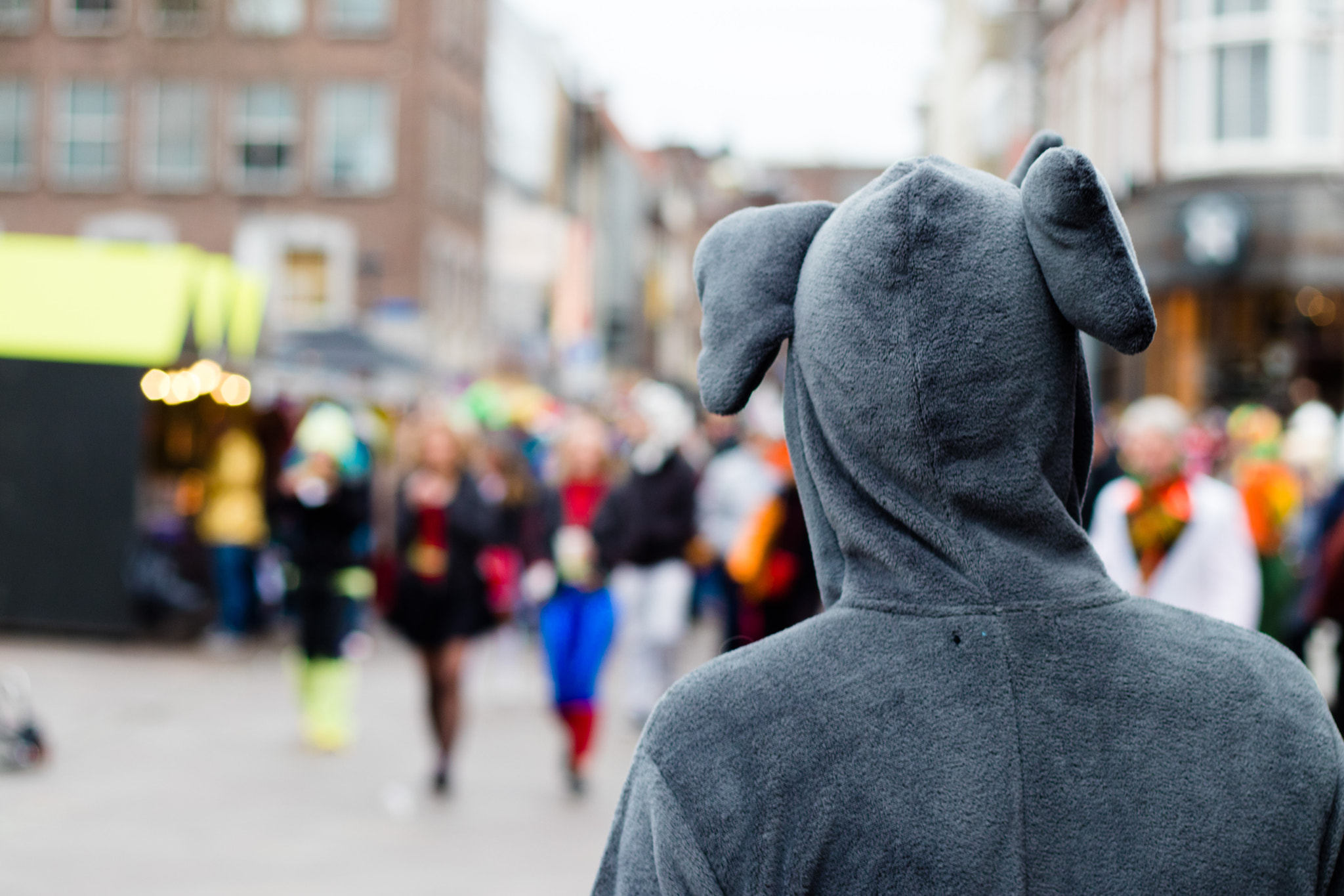 Canon EOS 80D + Canon EF 50mm F1.8 II sample photo. Carnaval lampegat 3 photography