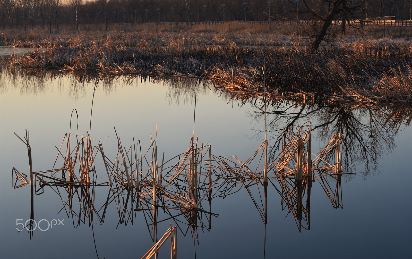 Nikon AF-S Nikkor 70-200mm F4G ED VR sample photo. Pond under the morning sun photography