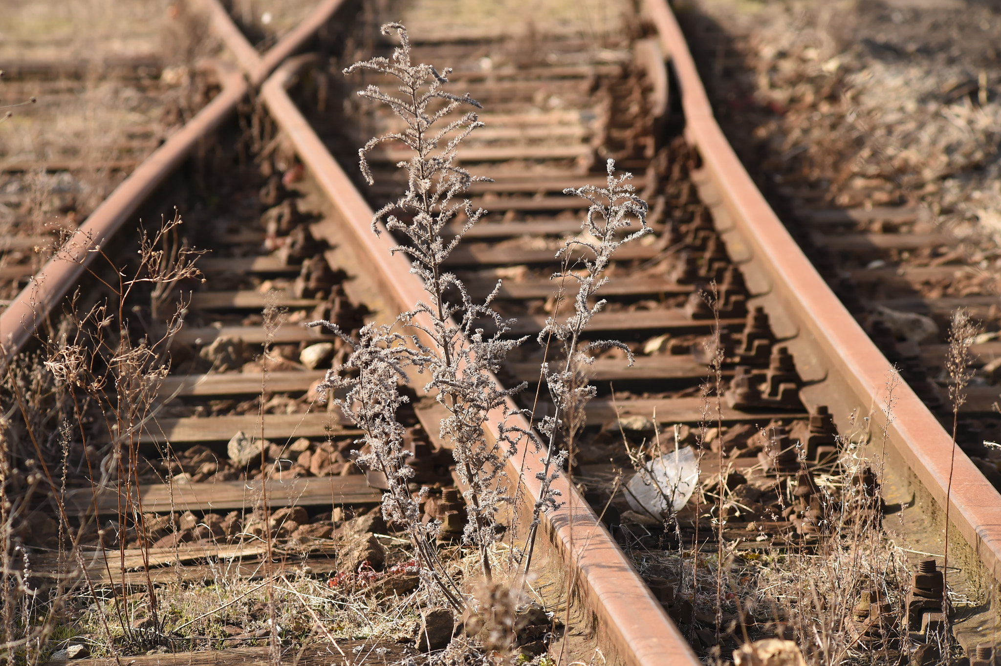 AF Zoom-Nikkor 70-210mm f/4 sample photo. Rail tracks photography