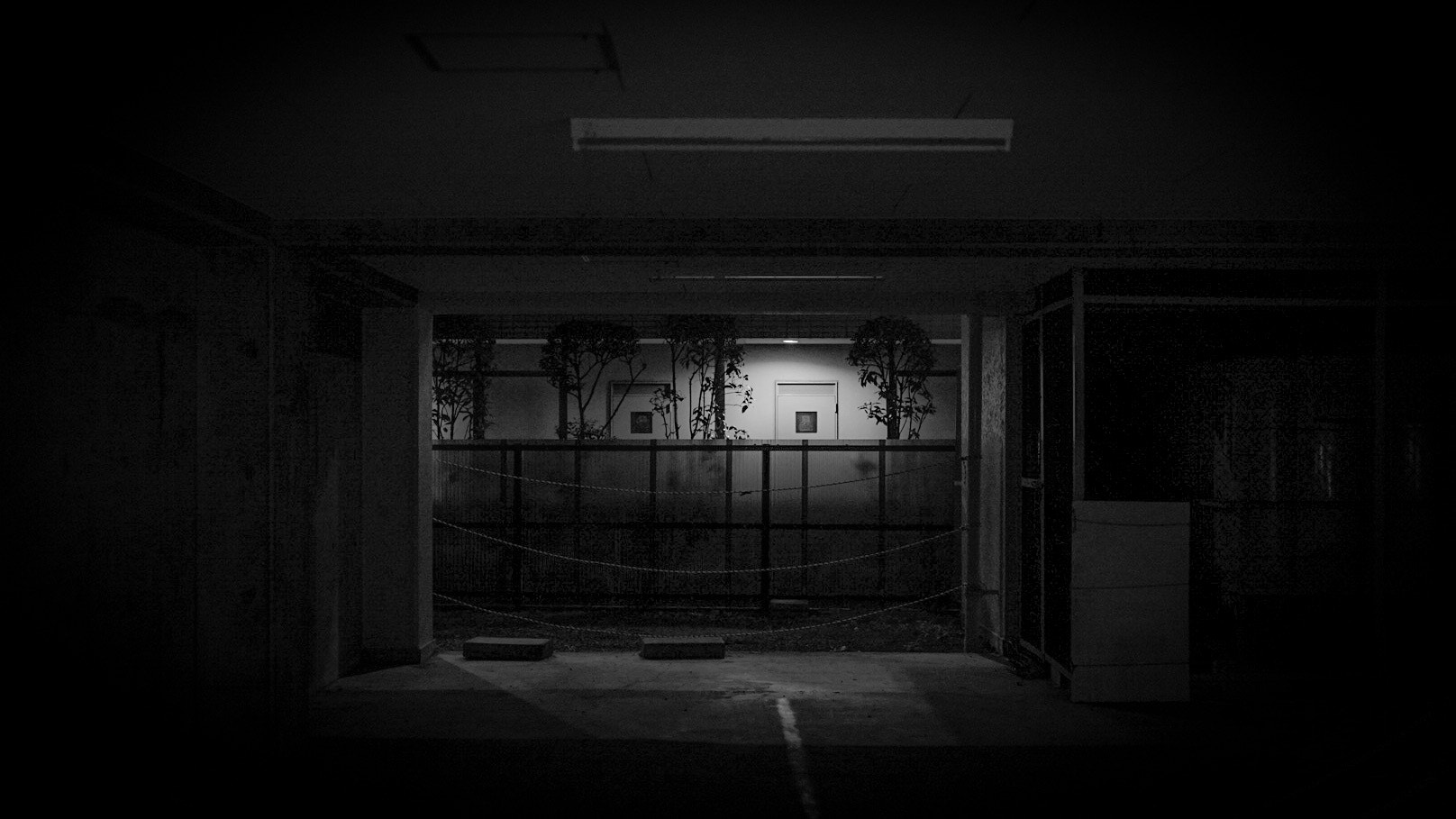E 50mm F2 sample photo