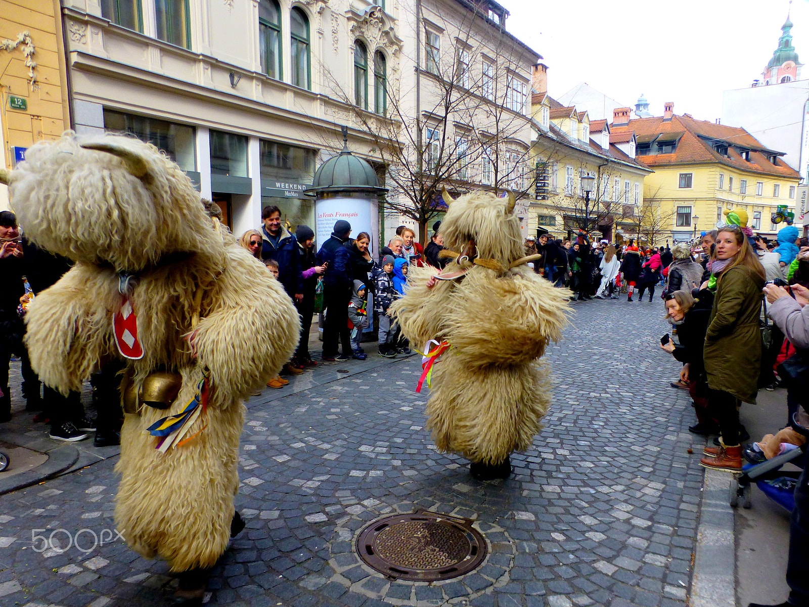 Panasonic DMC-TZ31 sample photo. Ljubljana carnival korant mask () photography