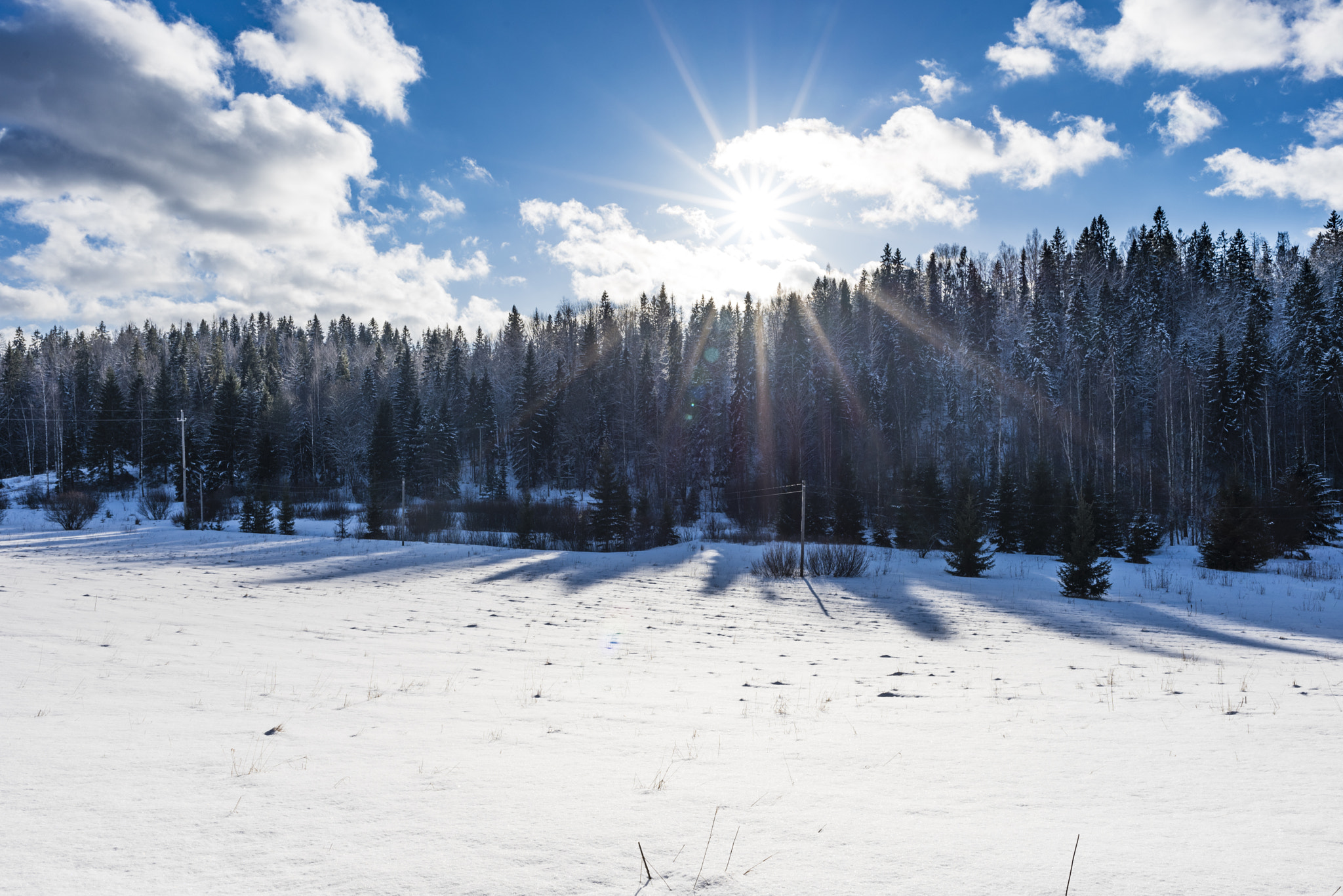 Nikon AF-S Nikkor 24mm F1.8G ED sample photo. Winter :-) photography