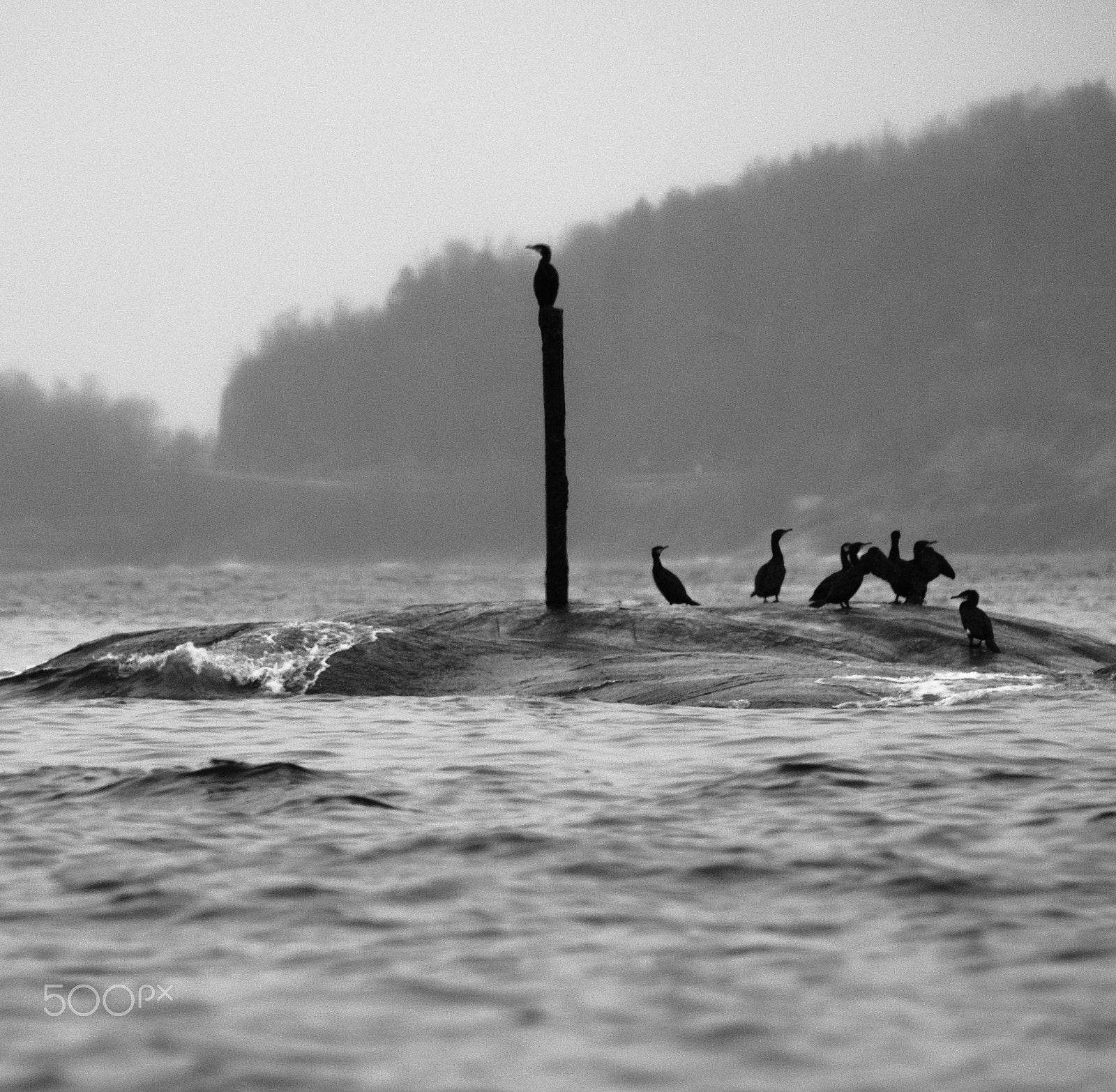 Fujifilm X-T2 sample photo. Silence before the storm photography