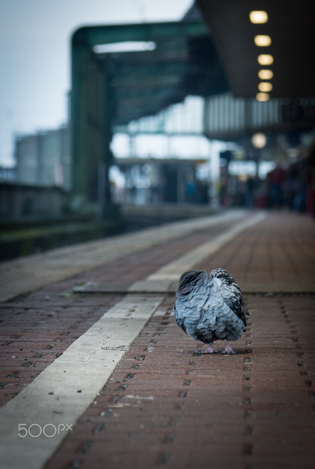 Sony DT 16-105mm F3.5-5.6 sample photo. Duisburg hauptbahnhof photography