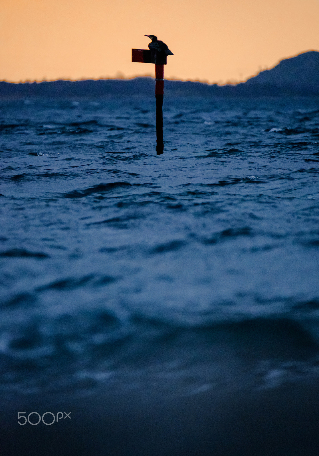 Fujifilm XF 100-400mm F4.5-5.6 R LM OIS WR sample photo