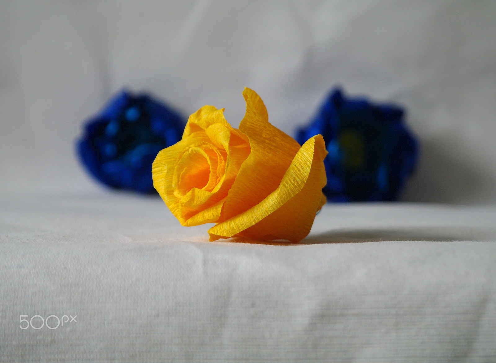 Samsung NX5 sample photo. Paper flowers photography