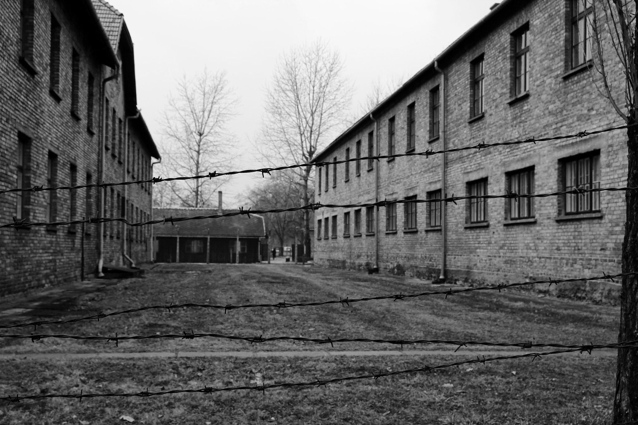 Canon EF-S 17-55mm F2.8 IS USM sample photo. Auschwitz photography