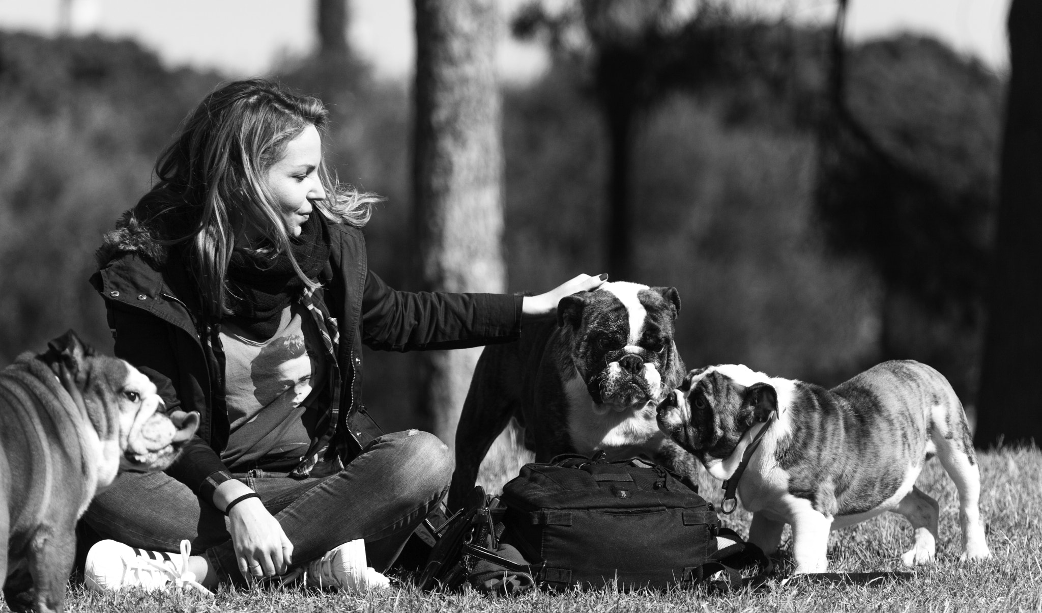 Canon EOS 5D Mark II + Canon EF 70-200mm F4L USM sample photo. English bulldog meeting photography