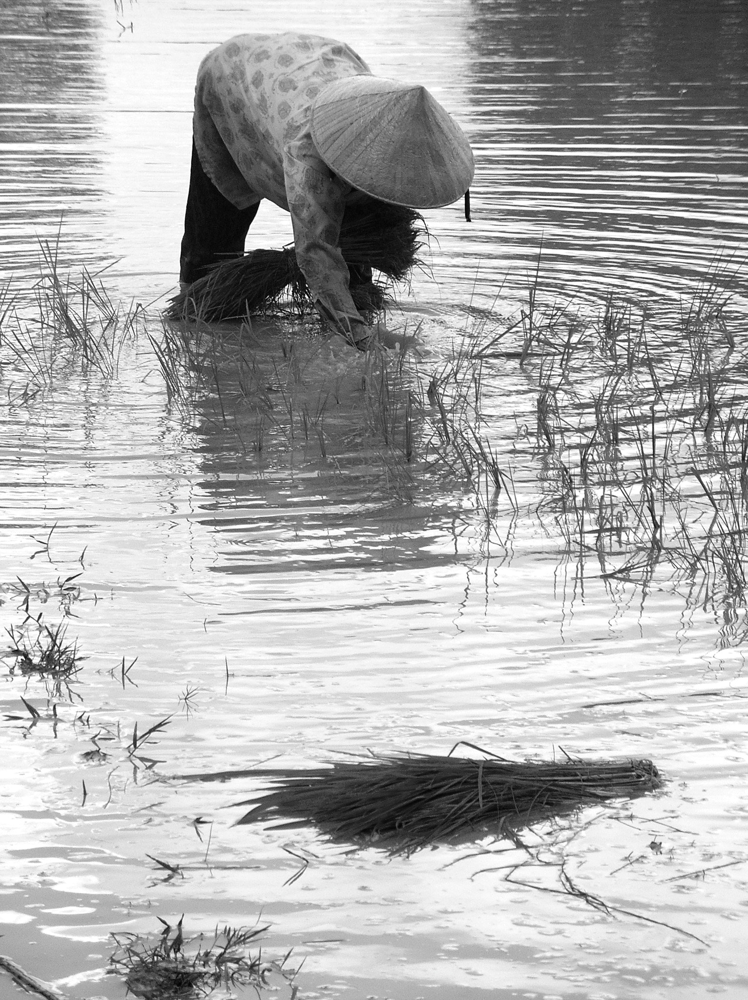 Nikon E4800 sample photo. Cambodia photography