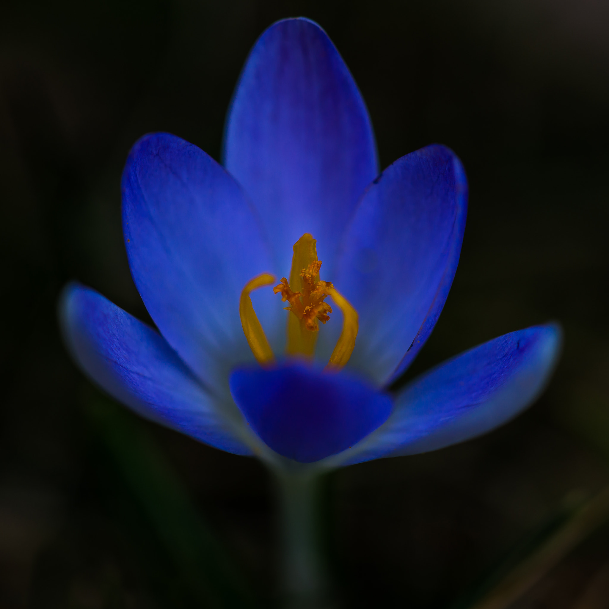 105mm F2.8 sample photo. The little dancer inside photography