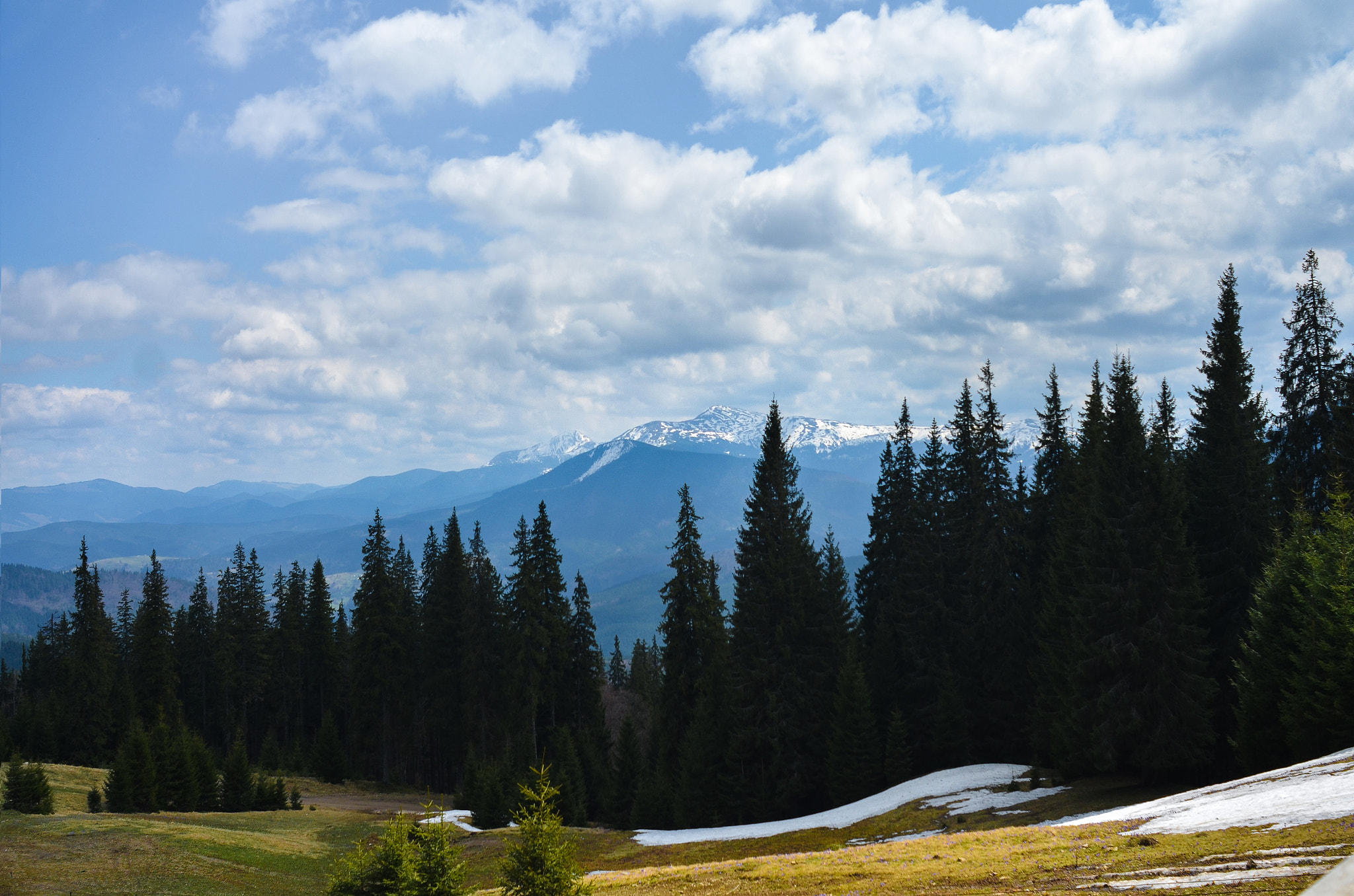 Nikon D7000 sample photo. Великаны. photography