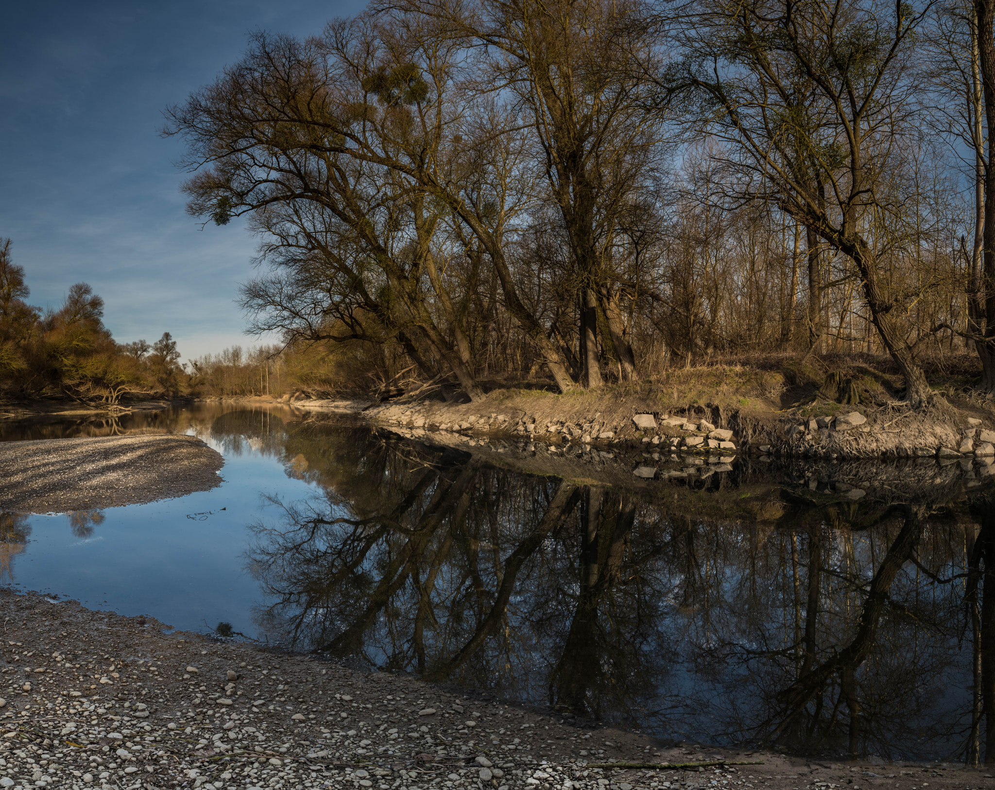 Pentax K-1 + Sigma 20mm F1.8 EX DG Aspherical RF sample photo. Old riverbed - rhein auen photography