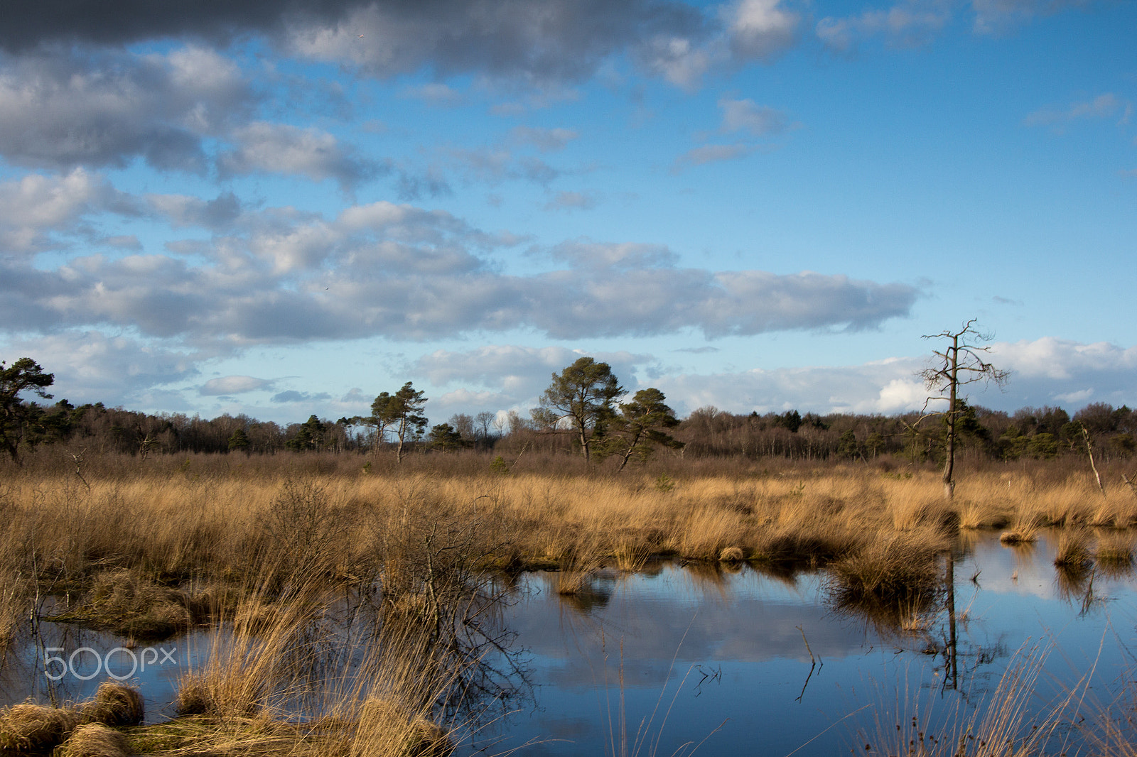 Canon EOS 60D sample photo. Quit after the storm photography