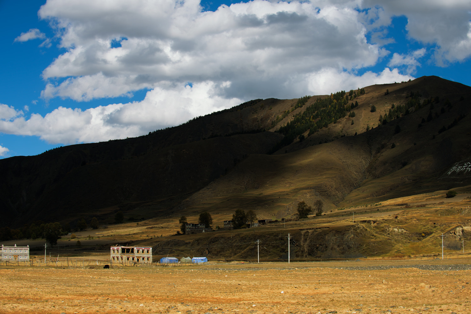 Nikon D810 sample photo