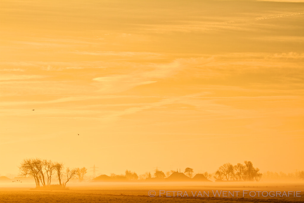 Canon EOS 7D + Canon EF 70-300mm F4-5.6L IS USM sample photo. Morning mist photography