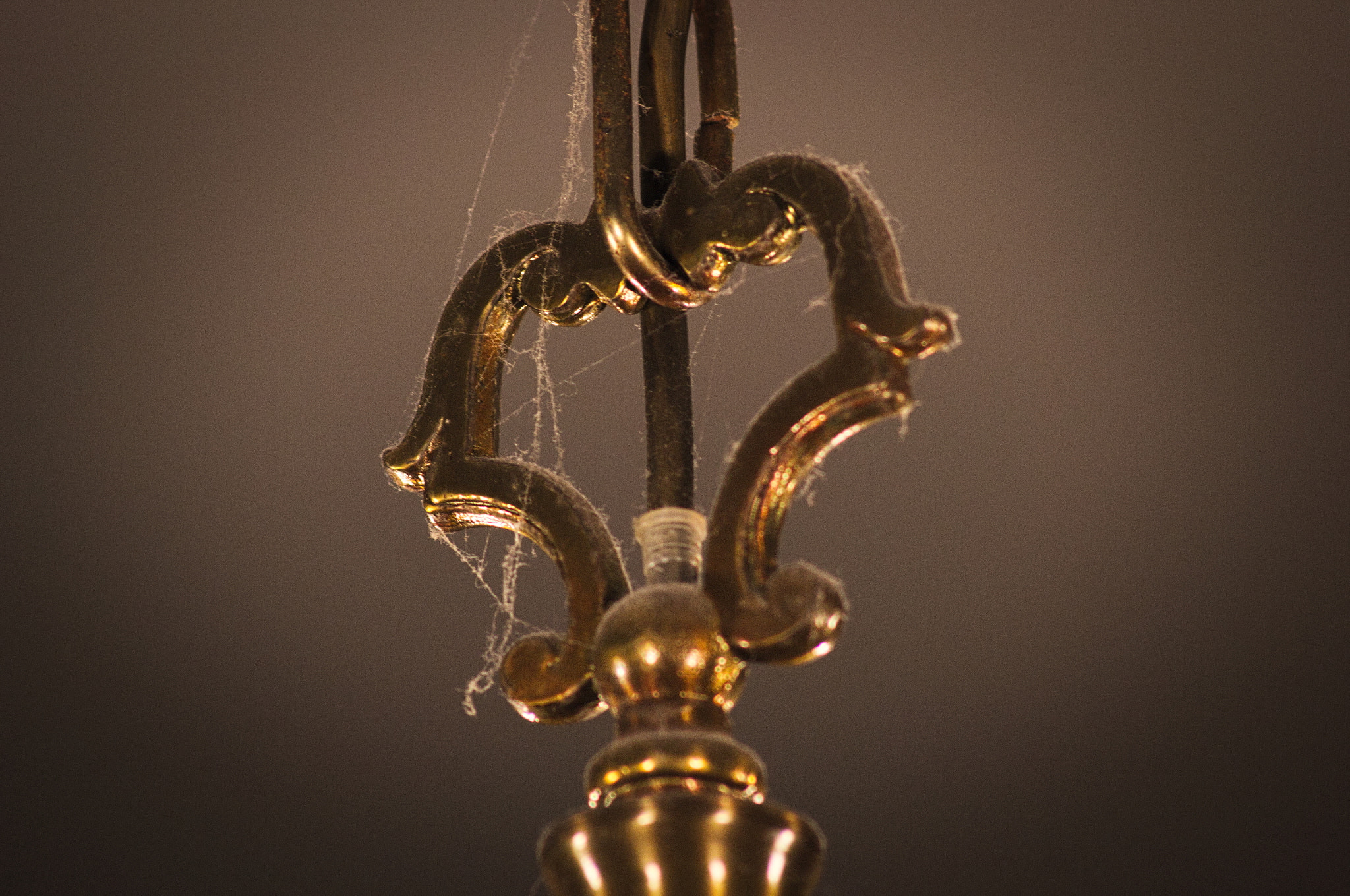 Sigma 70-300mm F4-5.6 APO DG Macro sample photo. Lustre photography