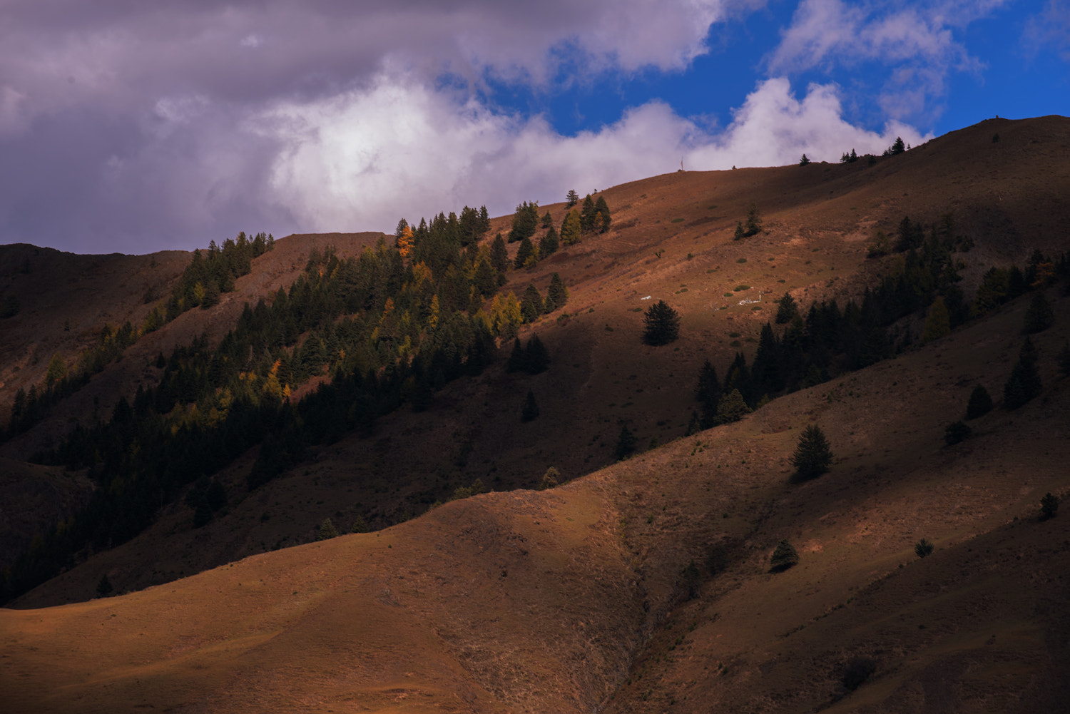 Nikon D810 sample photo