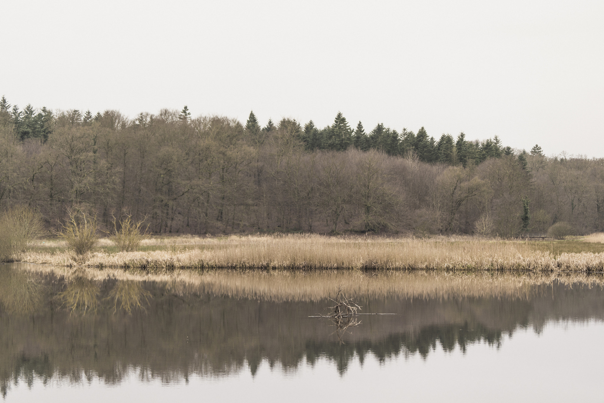 Sony a7R sample photo. Lake scenery in the fall with reflections photography