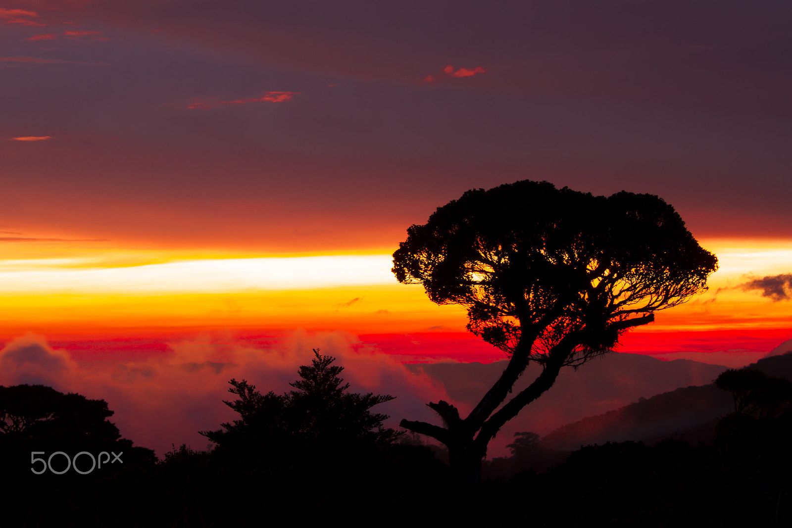 Canon EF-S 18-55mm F3.5-5.6 IS sample photo. Mt pulag photography