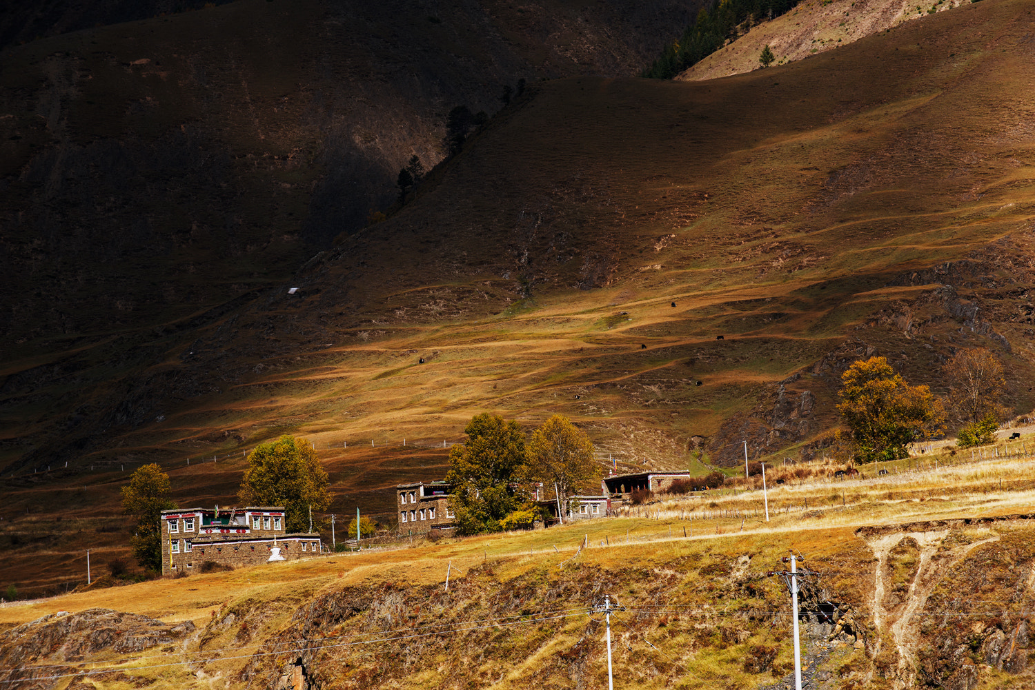 Nikon D810 sample photo