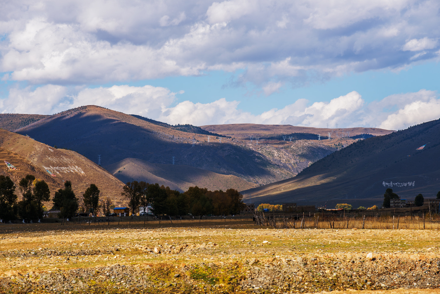 Nikon D810 sample photo
