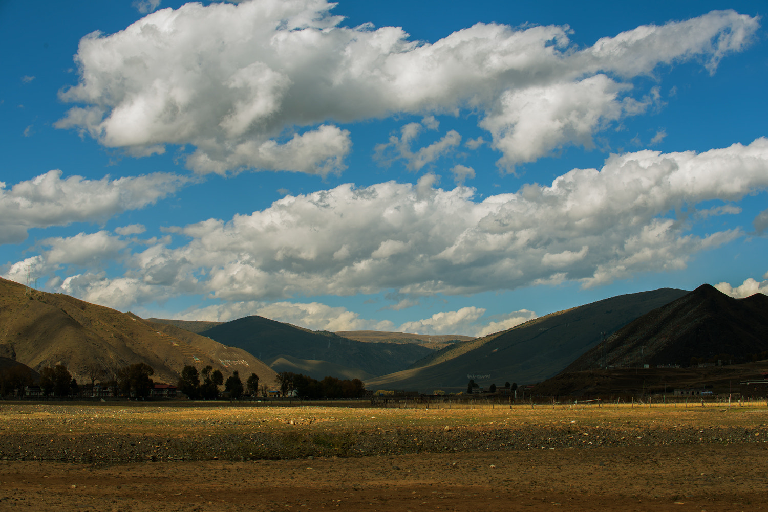 Nikon D810 sample photo