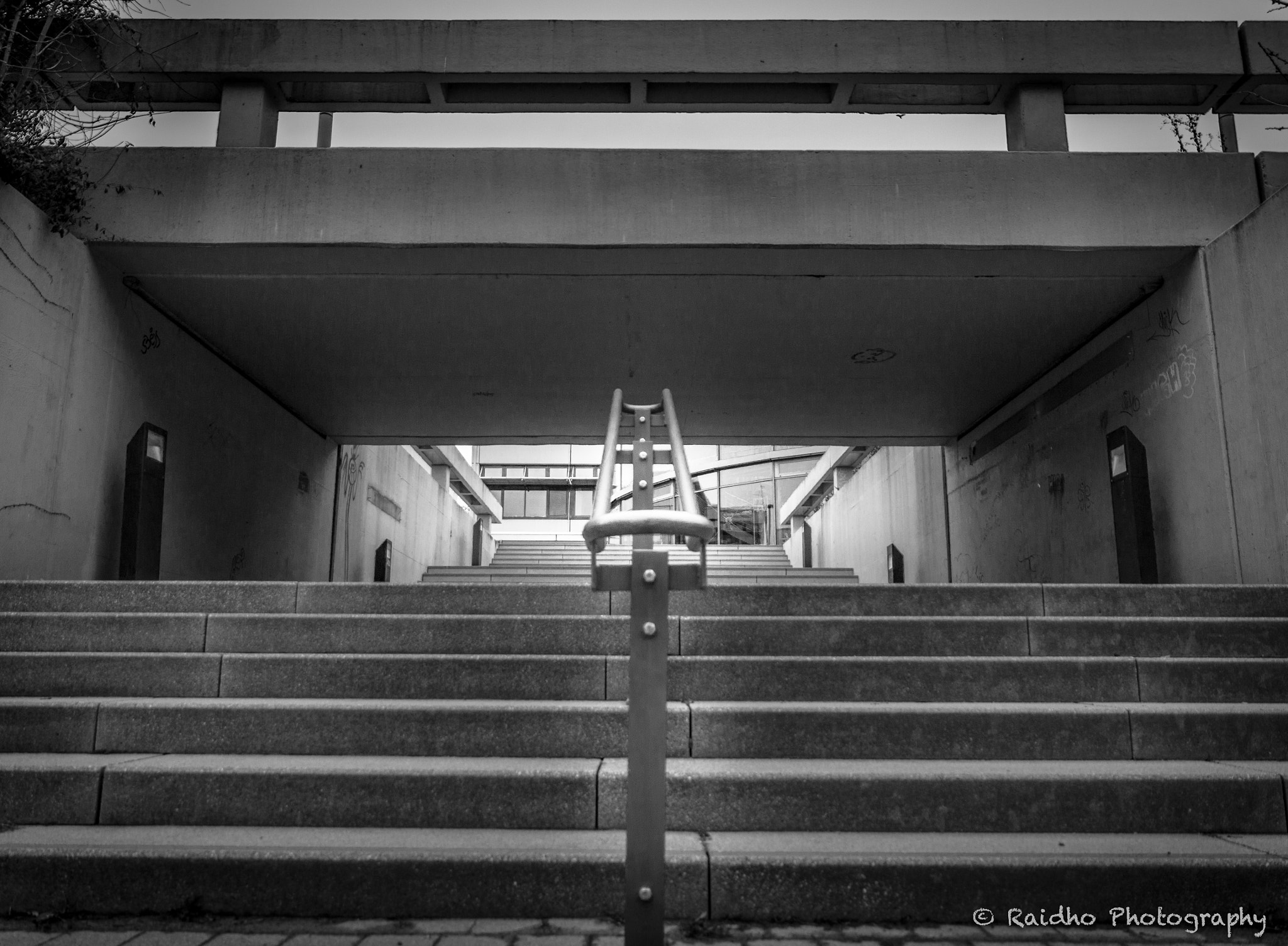 Canon EOS 650D (EOS Rebel T4i / EOS Kiss X6i) sample photo. Steps to knowledge photography